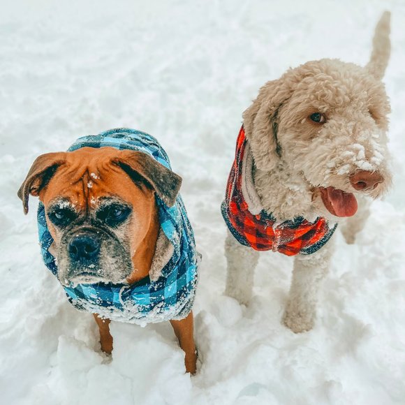 Meet your Posher! - Picture 2 of 2